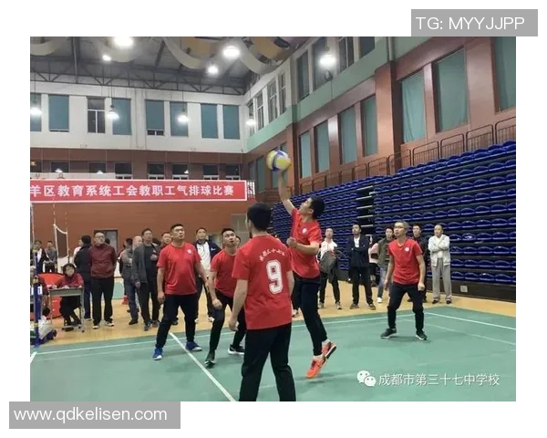 体育实时数据排球焦点成都排球队团队协作的成功经验与发展策略探讨